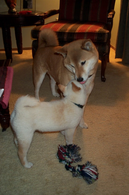 76人召开球员会议共同制定团队目标与承诺，76人队介绍